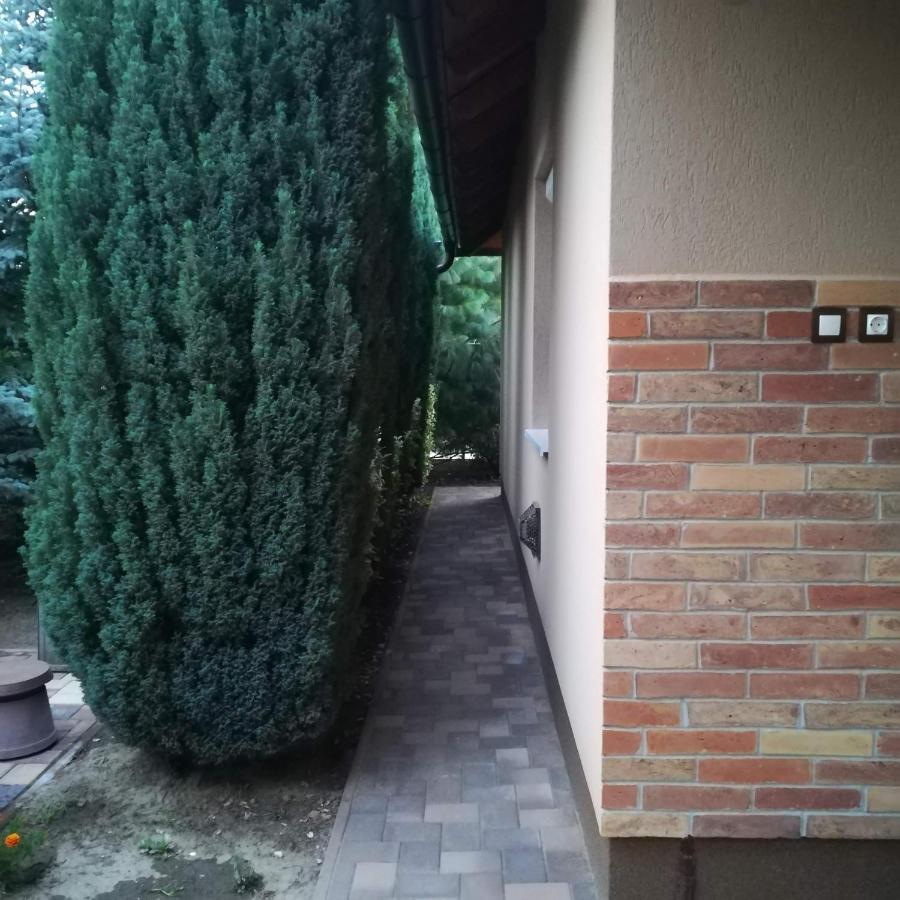 Orosháza Golden Apartman מראה חיצוני תמונה