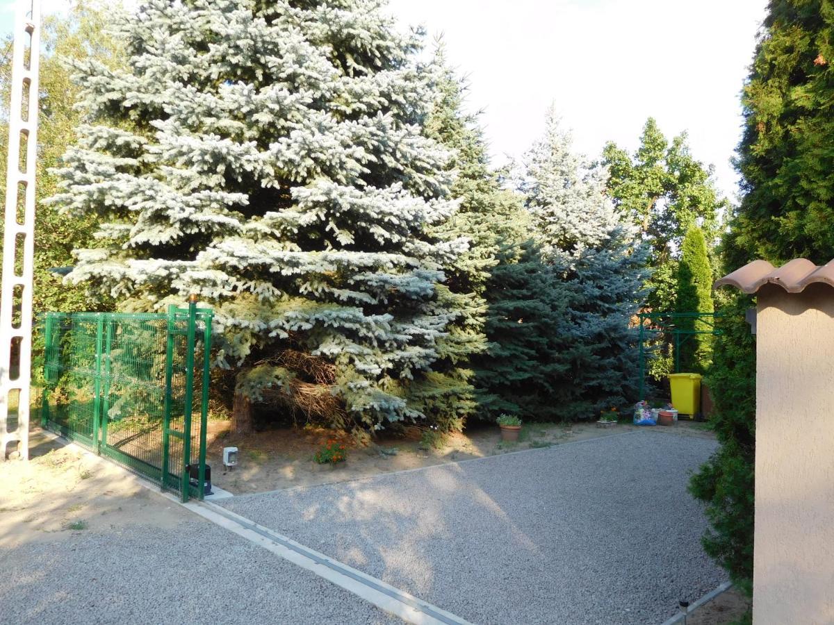 Orosháza Golden Apartman מראה חיצוני תמונה